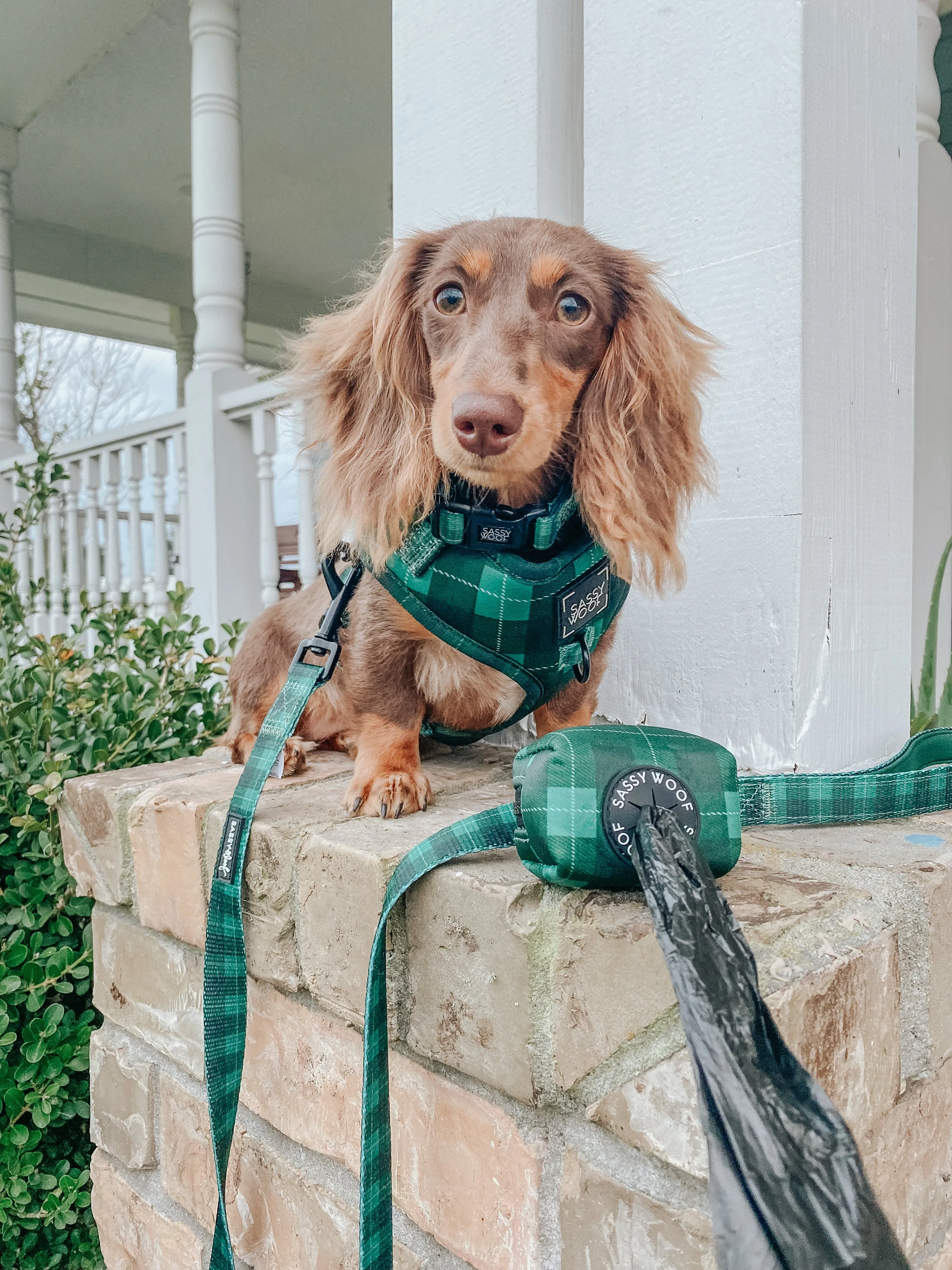 Dog Waste Bag Holder - Barks of Holly