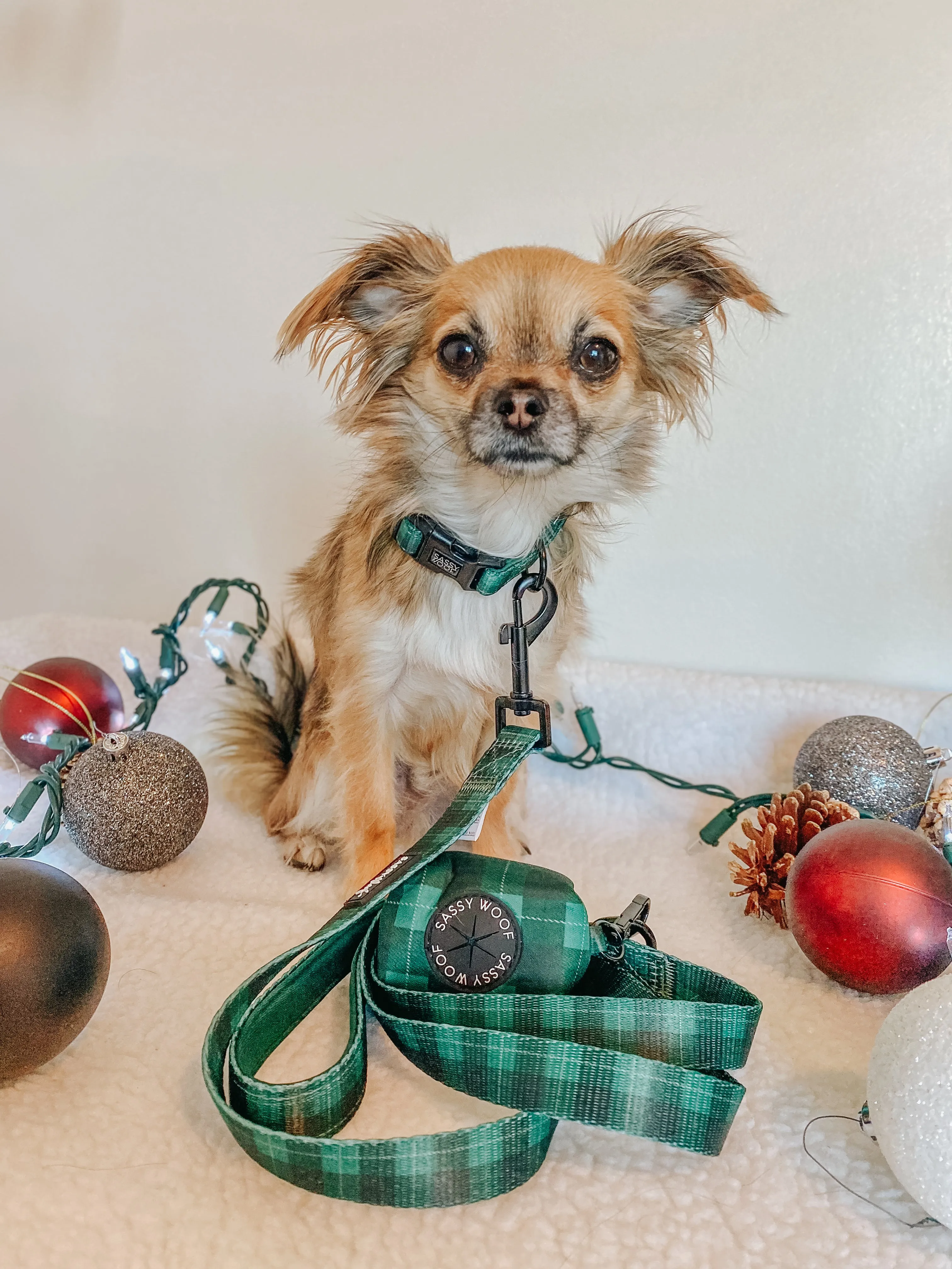 Dog Waste Bag Holder - Barks of Holly