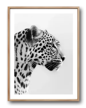 Majestic Leopard Poster